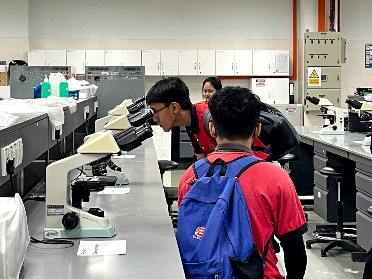 Students using a microscope at the Science Lab.